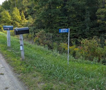 For Lease - 8537 Dale Road Unit# Basement, Hamilton Township, Ontario - Photo 5