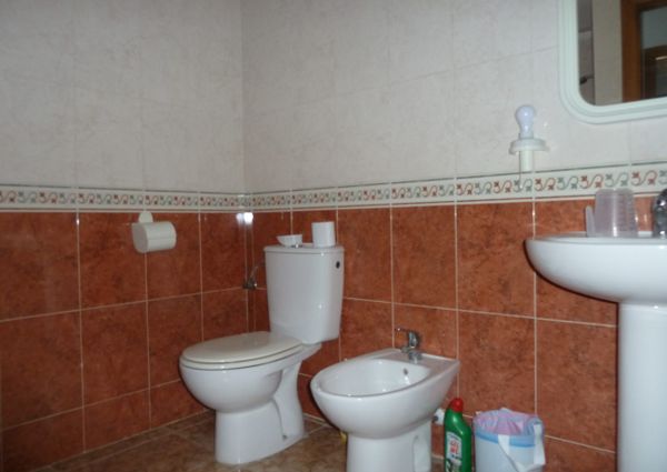 230 Granada – Id. 313