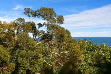 Fully-furnished Studio in Cottesloe - Photo 3