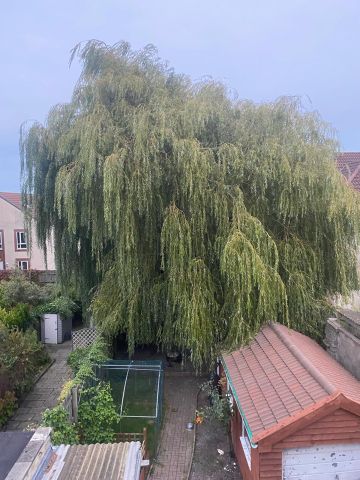 Room in a Shared House, Staple Hill, BS16 - Photo 5