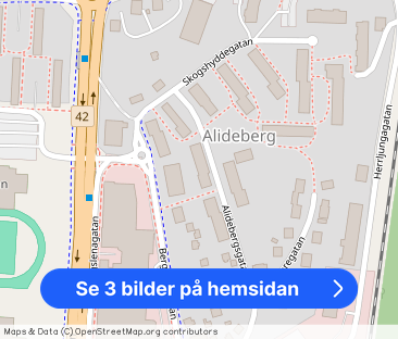 Alidebergsgatan, 17, Borås - Foto 1