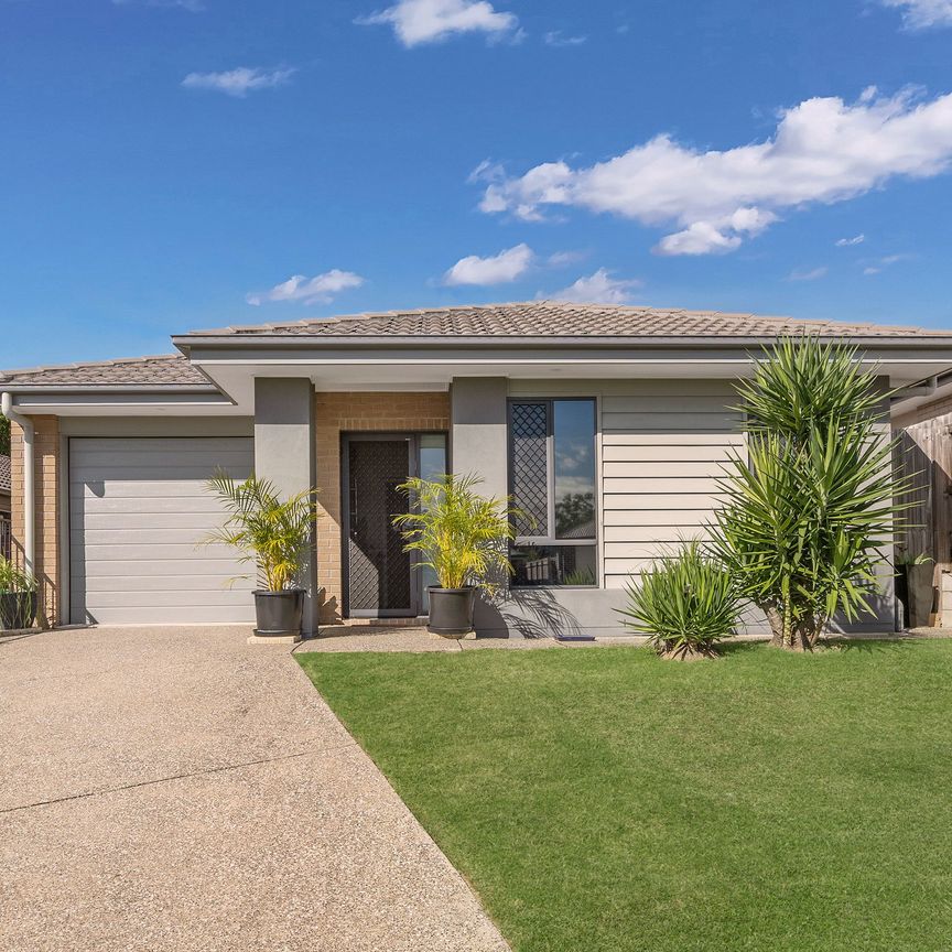 16 Kinkajou Street, Deebing Heights QLD 4306 - House For Rent | Domain - Photo 1