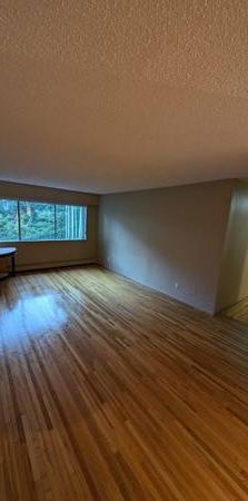 Large 1 Bedroom Great Location - Photo 1