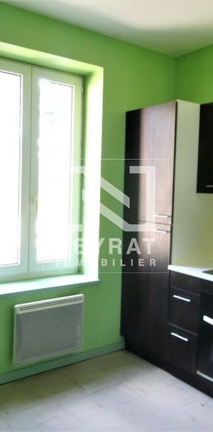 Location Appartement 3 pièces 75m² PIERRE DE BRESSE 71270 - Photo 1