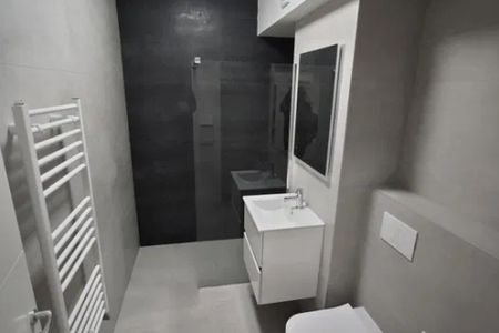 Apartament de inchiriat o camera Bucium - Photo 5