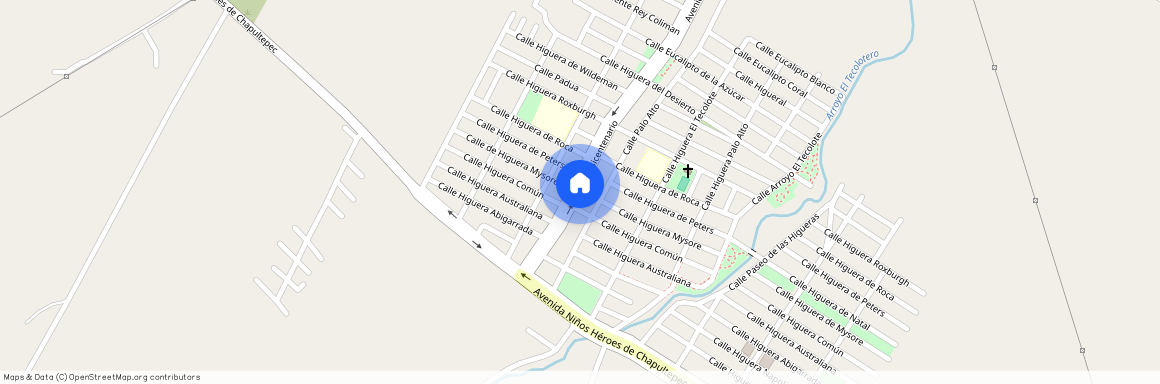Av. Bicentenario (Col. Palo Alto), 403, Buenavista, Villa De Álvarez, Colima, 28971, México