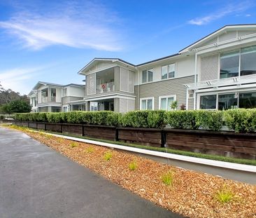 Stunning Orewa Apartment - Photo 2