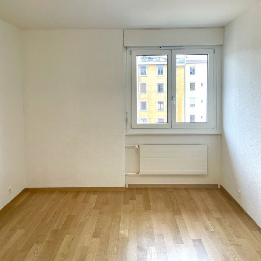 Plaine de Plainpalais - Université - Foto 1