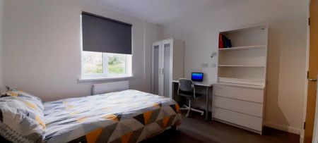 Studio 19 - Photo 2