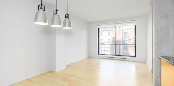 En face des plaines, superbe 3 1/2 tout inclus - Photo 2