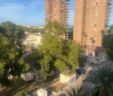 Orihuela - Photo 4