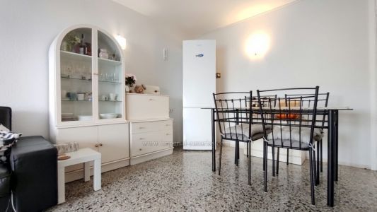 Seasonal apartment rental in Puerto de la Cruz, near San Fernando. Terrace, swimming pool, close to Taoro Park. - Photo 1