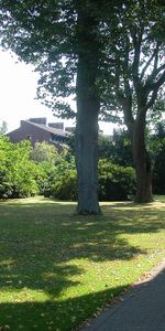 Dämmegatan 8 - Foto 3