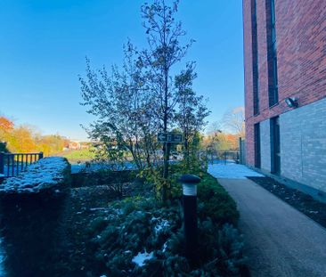 Extra Large High Double Studio - Photo 1