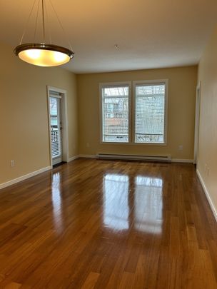 CAROLINE APTS - 212 - CA212 - Photo 1