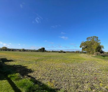 2 bedroom bungalow to rent - Photo 2