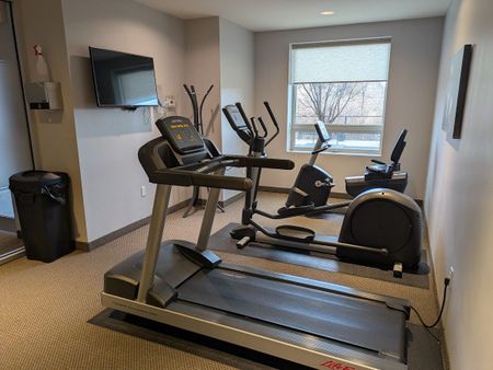 For Lease - 33 Whitmer Street Unit# 408, Milton, Ontario - Photo 4