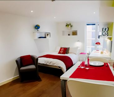 Standard Studio Gold - Photo 4