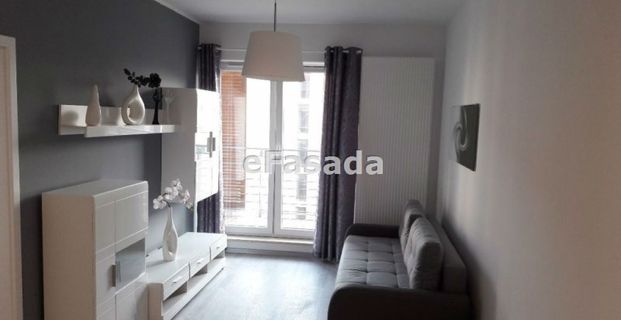 EFS-MW-209 Mieszkanie na wynajem - Zdjęcie 1