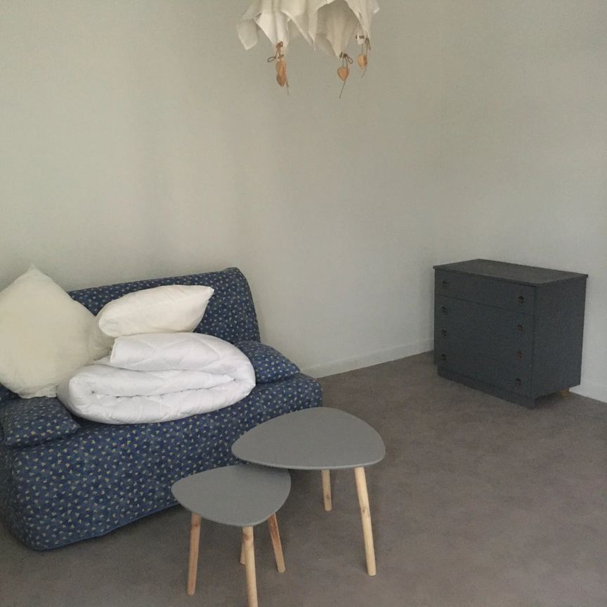 Location Appartement 1 pièce 25m² SALLANCHES 74700 - Photo 1
