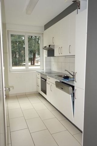 Charmant appartement au cœur de Bâle - Photo 2
