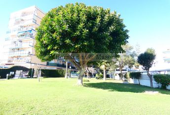 Apartamento en alquiler en Puerto Marina