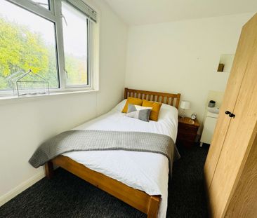 A Comforting 6 Double Bedrooms for Rent in Brighton - Photo 6