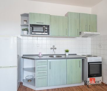 Pronájem bytu 1+kk 45 m² - Fotografie 3