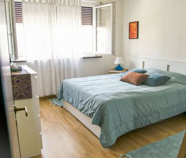 2.5 Zimmer, 51 m², 5. Stock - Foto 3
