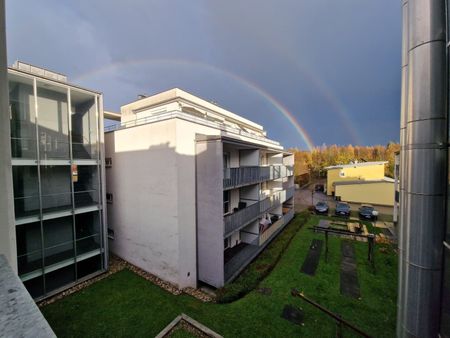 Moderne Wohnqualität inkl. Loggia & Stellplatz in Luftenberg! PROVISIONSFREI!!! - Photo 3