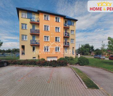 Byt 1+kk Nová Bystřice - Photo 6
