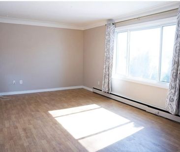 For Lease - 250 Highland Road, Hamilton, Ontario - Photo 4