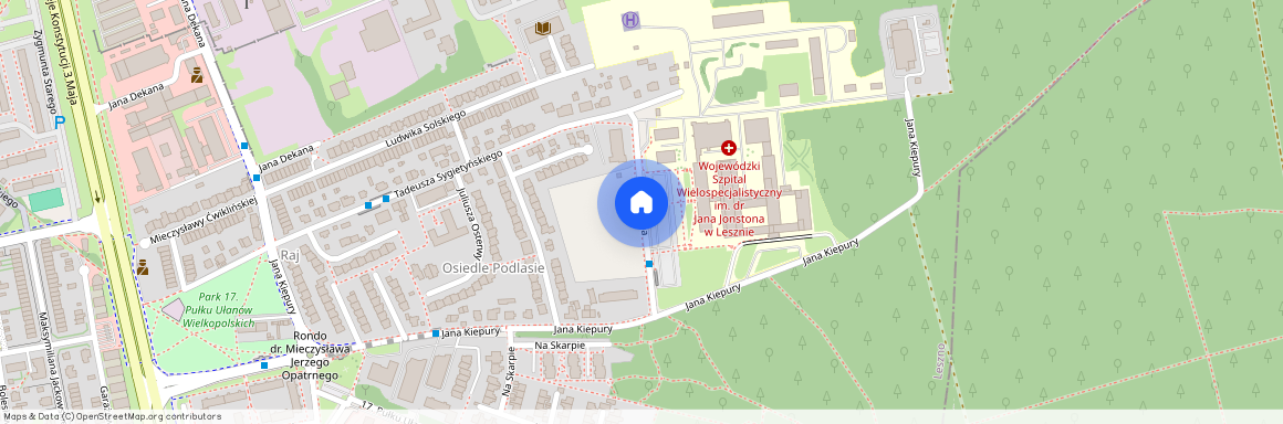 ul. Szpitalna, Leszno, wielkopolskie