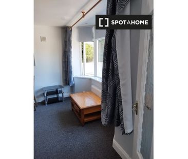 1-bedroom house for rent in Dublin - Photo 3