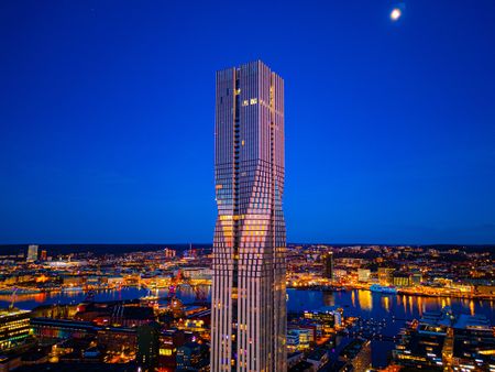 Lodjursstråket, Göteborg - Foto 4