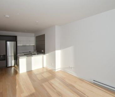 Montréal (Le Sud-Ouest) (Griffintown) - Photo 3