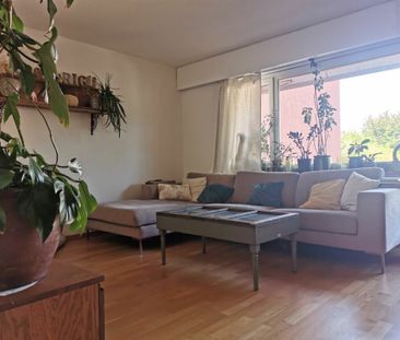 Ruhig gelegene 3.5-Zimmerwohnung in Bellmund - Photo 3