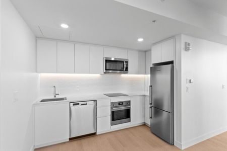 1210 Rue Jeanne-Mance, app.3020, H2X 1M1, H2X 1M1, Montréal - Photo 4