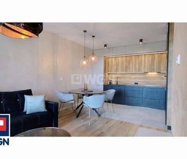 Mieszkanie na wynajem w nowym budynku Polkowice - Фото 1