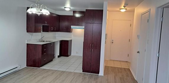 Grand 3 1/2 RENOVER, Saint-Eustache avec clientèle établi de 55+ ans - Photo 2