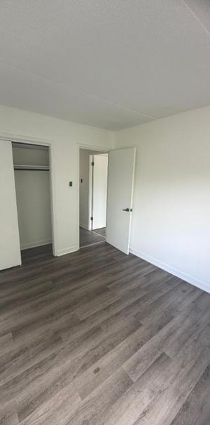 2 CH - 1 SDB - Québec - $1,349 /mo - Photo 1