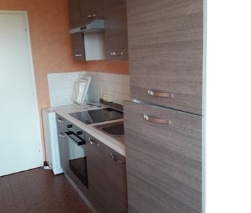 Location Appartement 1 pièce 29m² - Photo 3