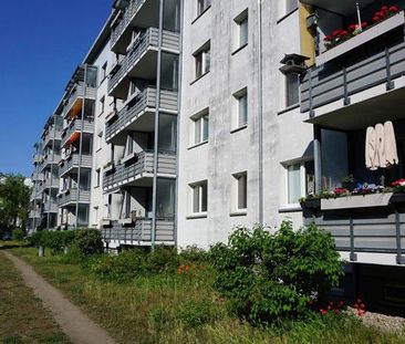 Sanierte 3. Zimmer in Waldstadt - Foto 1