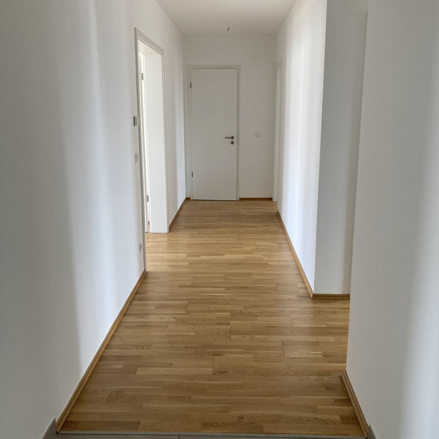 2 MONATE KALTMIETFREI!!! Großzügige 3-Raumwohnung mit Terrasse in der Leipziger Südvorstadt - Photo 1