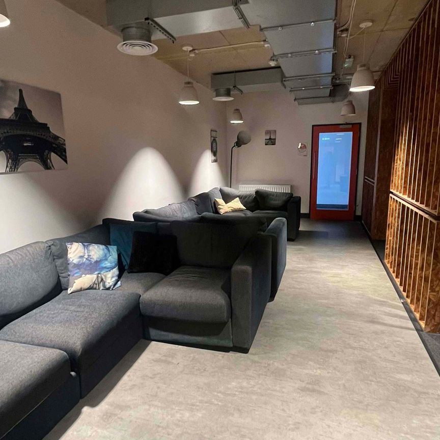 Gold Studio Deluxe - Photo 1