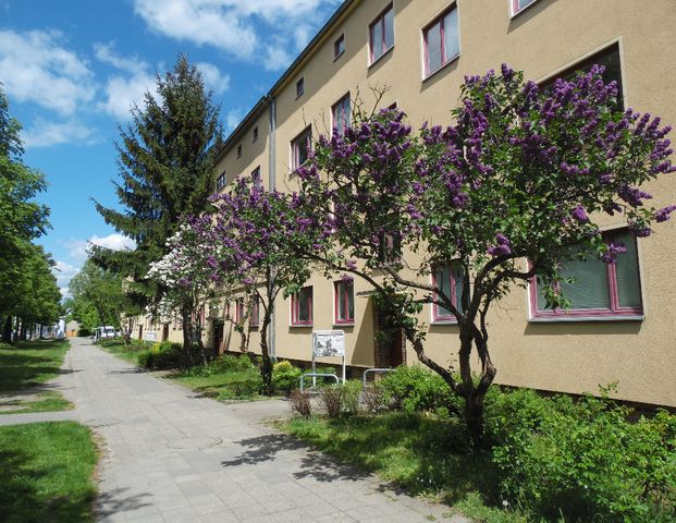 Stopp! Renovierte 2 1/2-Raum Wohnungen in ruhiger Lage! - Photo 1