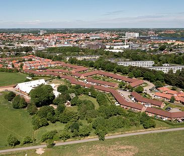 Kærsangerparken - Photo 4