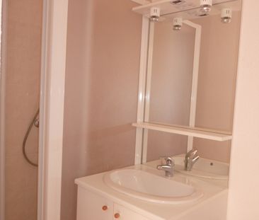 Location Appartement 1 pièce 25m² - Photo 3