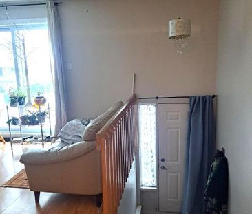 4 1/2 Lévis centre-ville, **Libre 1er Avril, UQAR, proximité autoroute - Photo 1