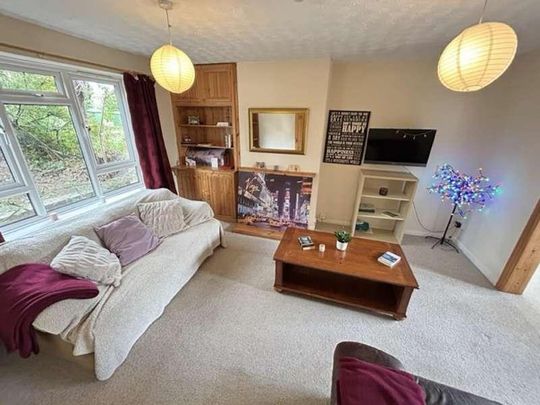 Mincinglake Road, EX4 - Photo 1